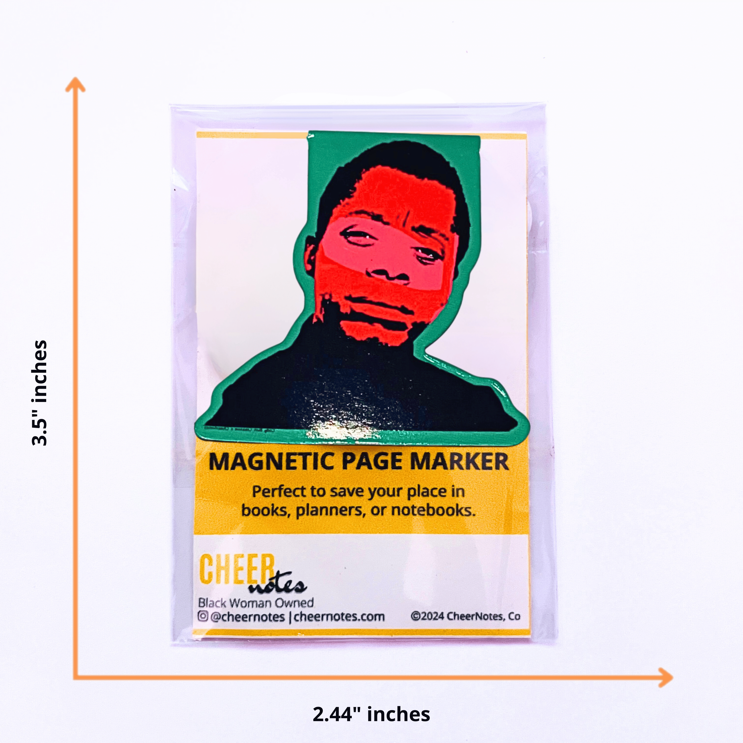 James Baldwin Magnetic Page Marker